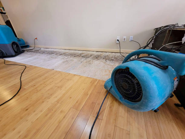 Professional Structural Drying technician working in Walhonding, OH